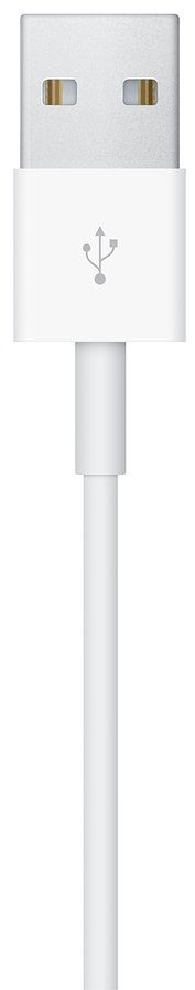 Кабель Apple для Apple Watch Magnetic Charger to USB Cable (1м) Original, картинка 3