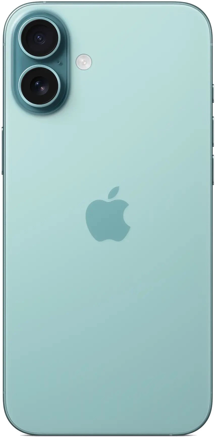 Смартфон Apple iPhone 16 Plus 128Gb Teal (1 sim + eSIM), картинка 2