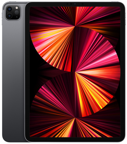 Планшет Apple iPad Pro 11'' 256Gb Wi-Fi Space Gray (2021), картинка 1