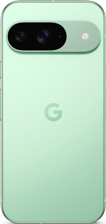 Смартфон Google Pixel 9 12/128 ГБ Wintergreen, картинка 2