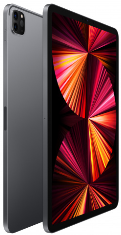 Планшет Apple iPad Pro 11'' 256Gb Wi-Fi Space Gray (2021), картинка 2