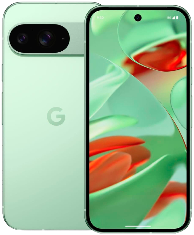 Смартфон Google Pixel 9 12/128 ГБ Wintergreen