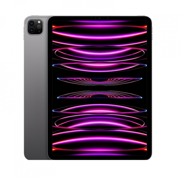 iPad Pro 12.9 (2021) 256GB Gray + Sim (Б/У) M0YCVPX065