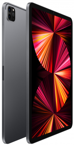 Планшет Apple iPad Pro 11'' 1Tb Wi-Fi + Cellular Space Gray (2021), картинка 2