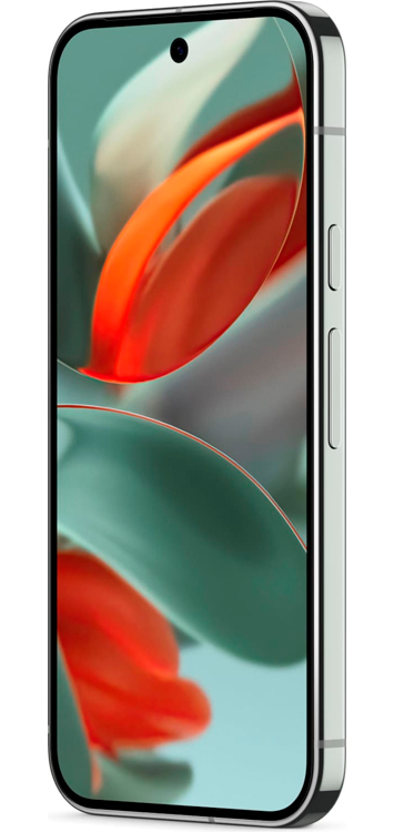 Смартфон Google Pixel 9 Pro 16/128 ГБ Hazel, картинка 2
