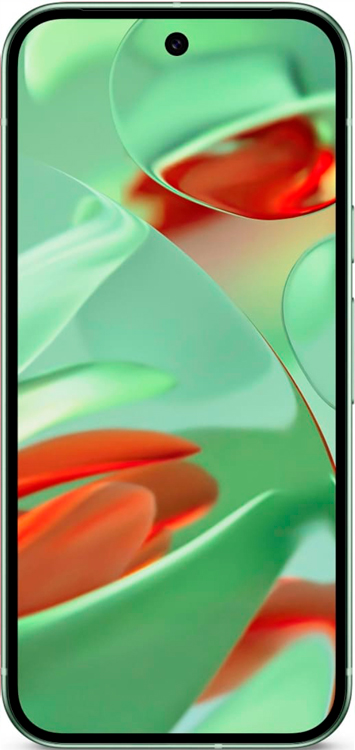 Смартфон Google Pixel 9 12/128 ГБ Wintergreen, картинка 3