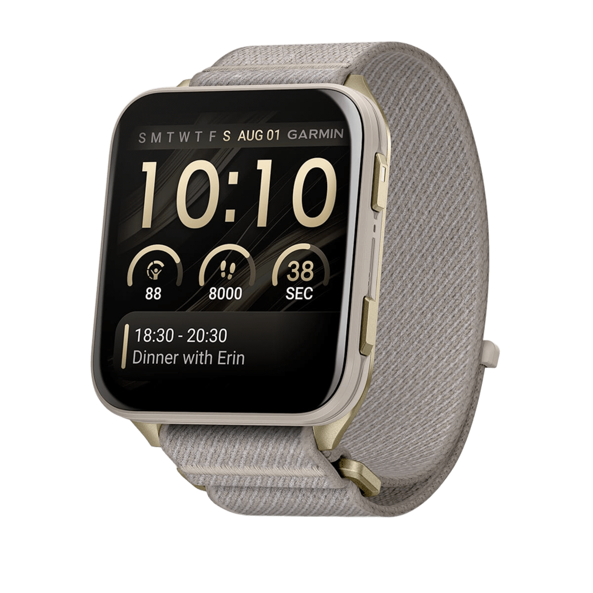 Умные часы Garmin Venu X1 Soft Gold Titanium with French Gray Nylon HK